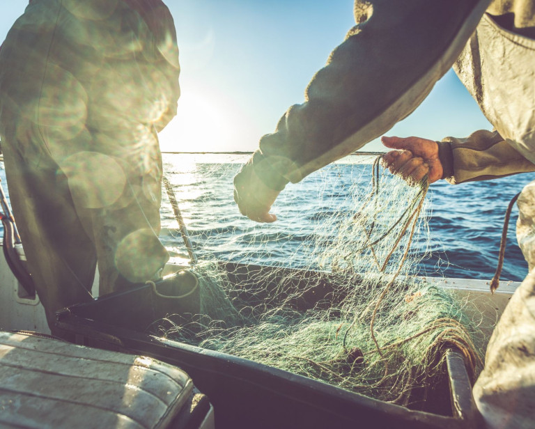 media.pesca_alla_tratta